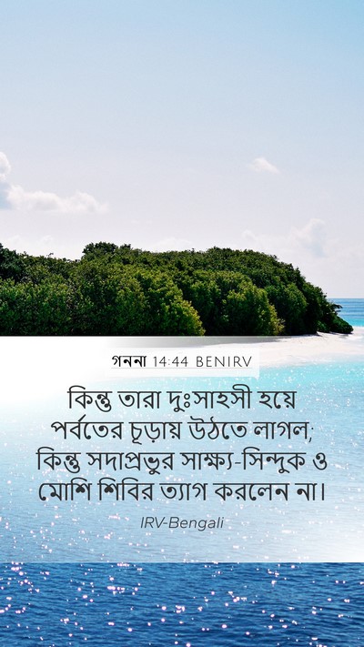গননা 14:44 BENIRV Bible Verse Image