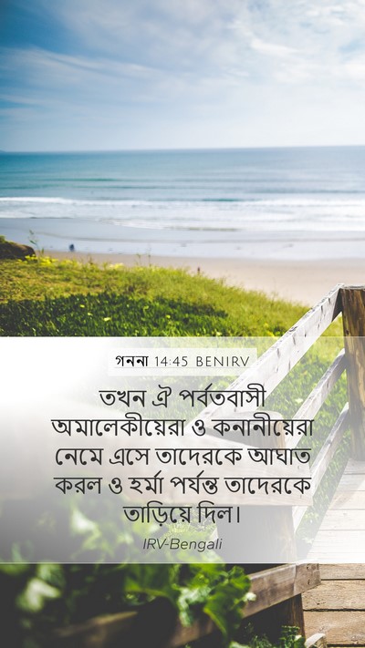 গননা 14:45 BENIRV Bible Verse Image