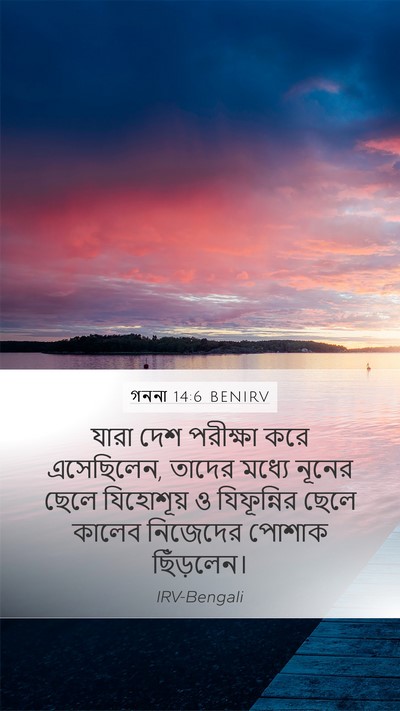 গননা 14:6 BENIRV Bible Verse Image