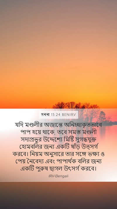 গননা 15:24 BENIRV Bible Verse Image