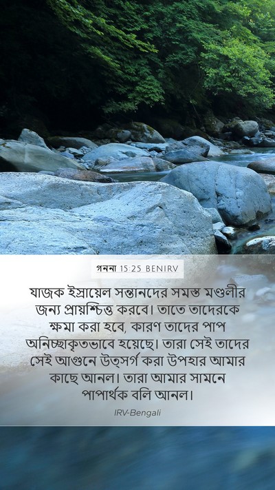 গননা 15:25 BENIRV Bible Verse Image