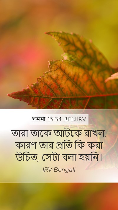 গননা 15:34 BENIRV Bible Verse Image
