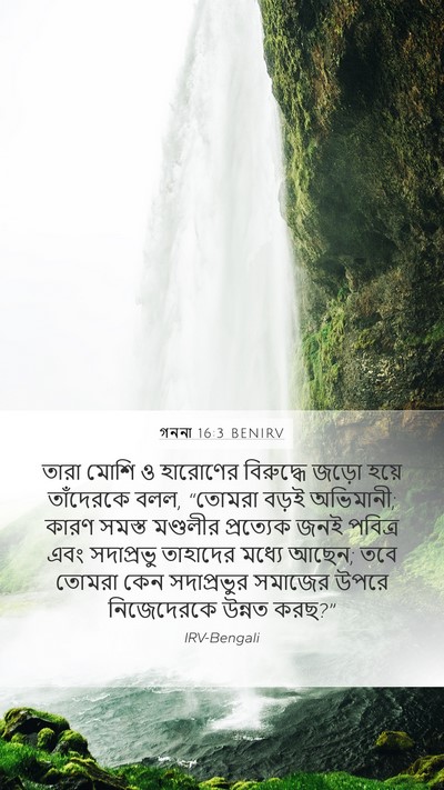 গননা 16:3 BENIRV Bible Verse Image