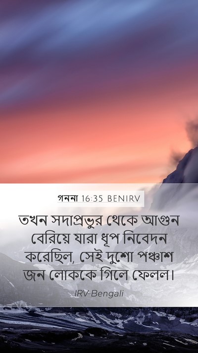 গননা 16:35 BENIRV Bible Verse Image