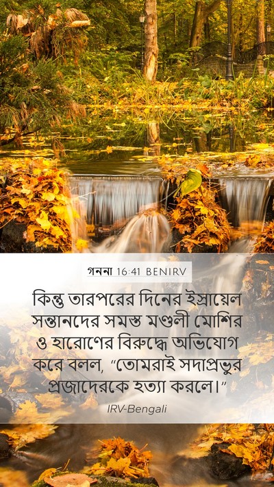 গননা 16:41 BENIRV Bible Verse Image