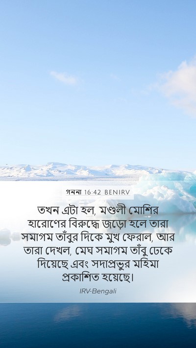 গননা 16:42 BENIRV Bible Verse Image