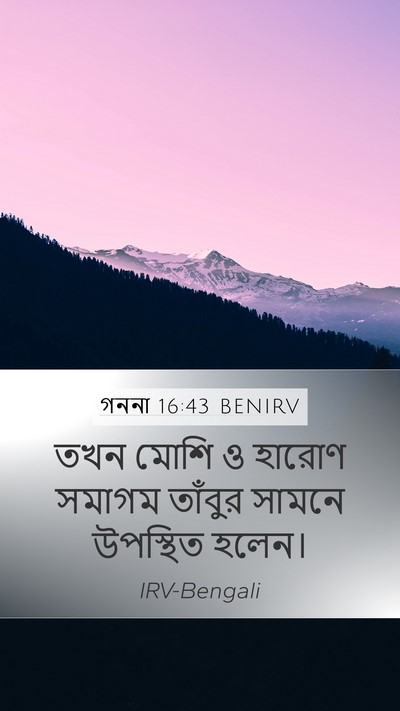 গননা 16:43 BENIRV Mobile Phone Wallpaper - তখন মোশি ও হারোণ - Mobile Bible Verse Wallpaper