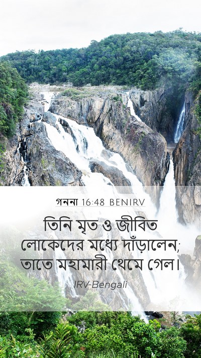 গননা 16:48 BENIRV Bible Verse Image