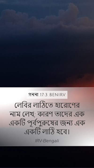 গননা 17:3 BENIRV Bible Verse Image