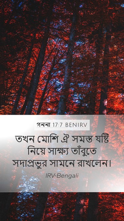গননা 17:7 BENIRV Bible Verse Image