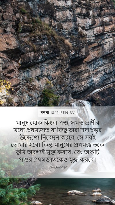গননা 18:15 BENIRV Bible Verse Image
