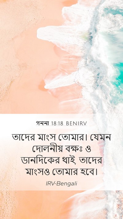 গননা 18:18 BENIRV Bible Verse Image