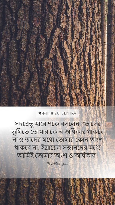 গননা 18:20 BENIRV Bible Verse Image