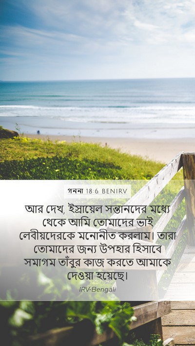গননা 18:6 BENIRV Bible Verse Image