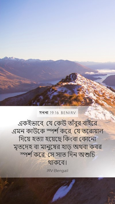 গননা 19:16 BENIRV Bible Verse Image