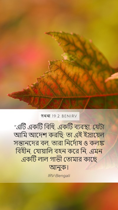 গননা 19:2 BENIRV Mobile Phone Wallpaper - “এটি একটি বিধি, - Mobile Bible Verse Wallpaper
