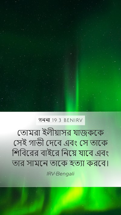 গননা 19:3 BENIRV Mobile Phone Wallpaper - তোমরা ইলীয়াসর - Mobile Bible Verse Wallpaper