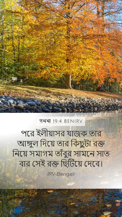 গননা 19:4 BENIRV Mobile Phone Wallpaper - পরে ইলীয়াসর যাজক - Mobile Bible Verse Wallpaper