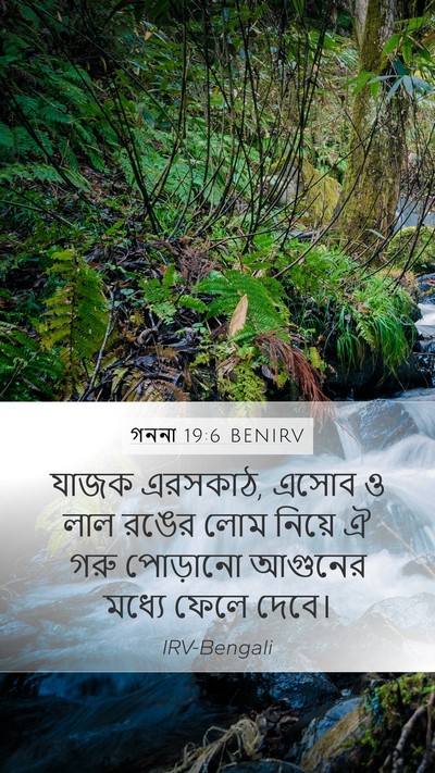 গননা 19:6 BENIRV Mobile Phone Wallpaper - যাজক এরসকাঠ, এসোব ও - Mobile Bible Verse Wallpaper