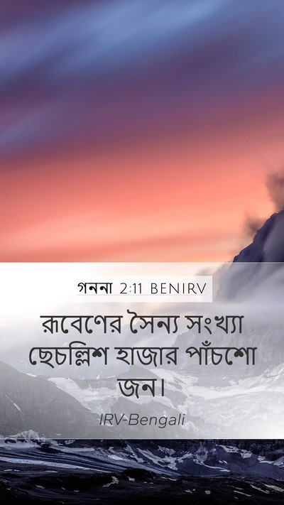 গননা 2:11 BENIRV Bible Verse Image