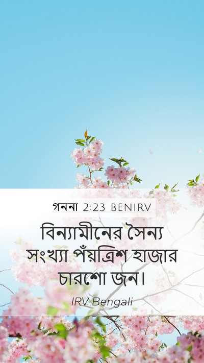গননা 2:23 BENIRV Mobile Phone Wallpaper - বিন্যামীনের সৈন্য - Mobile Bible Verse Wallpaper