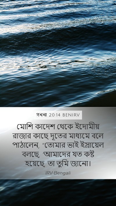 গননা 20:14 BENIRV Bible Verse Image