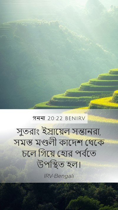 গননা 20:22 BENIRV Bible Verse Image