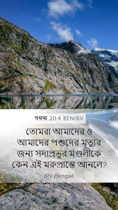 গননা 20:4 BENIRV Bible Verse Image