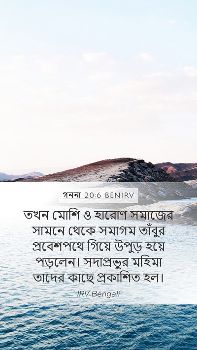 গননা 20:6 BENIRV Bible Verse Image