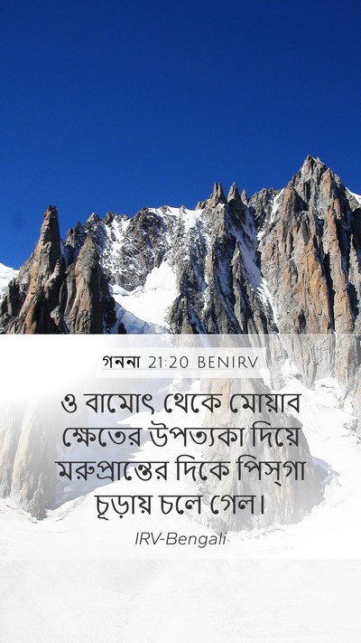 গননা 21:20 BENIRV Bible Verse Image
