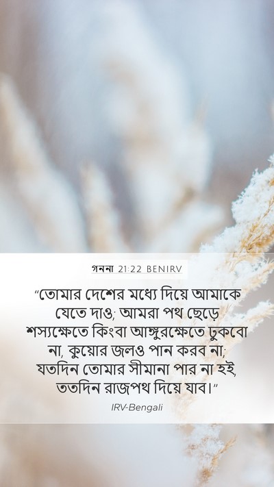 গননা 21:22 BENIRV Mobile Phone Wallpaper - “তোমার দেশের - Mobile Bible Verse Wallpaper