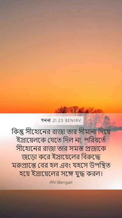 গননা 21:23 BENIRV Bible Verse Image
