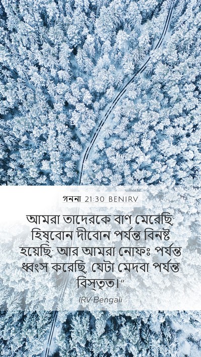 গননা 21:30 BENIRV Bible Verse Image