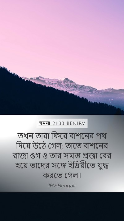গননা 21:33 BENIRV Bible Verse Image