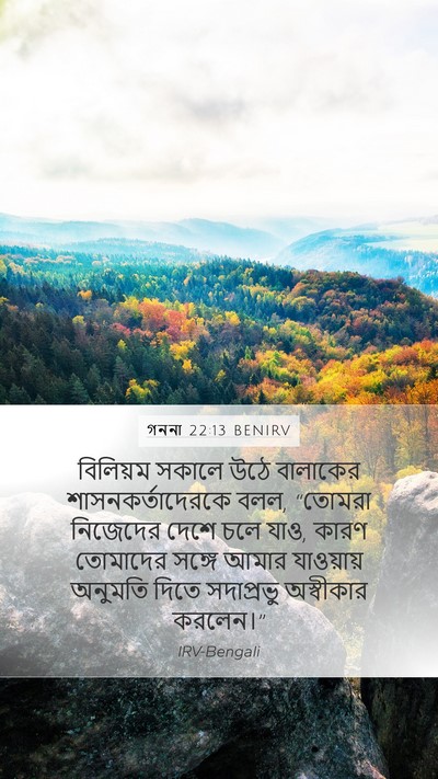 গননা 22:13 BENIRV Mobile Phone Wallpaper - বিলিয়ম সকালে উঠে - Mobile Bible Verse Wallpaper