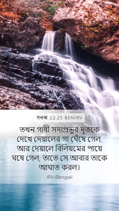 গননা 22:25 BENIRV Mobile Phone Wallpaper - তখন গাধী - Mobile Bible Verse Wallpaper