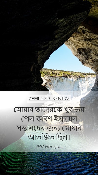 গননা 22:3 BENIRV Mobile Phone Wallpaper - মোয়াব তাদেরকে - Mobile Bible Verse Wallpaper