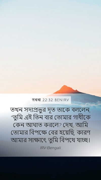 গননা 22:32 BENIRV Bible Verse Image
