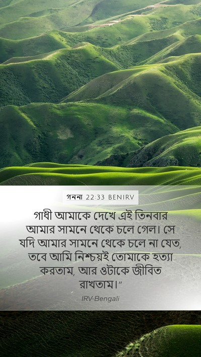 গননা 22:33 BENIRV Mobile Phone Wallpaper - গাধী আমাকে দেখে এই - Mobile Bible Verse Wallpaper