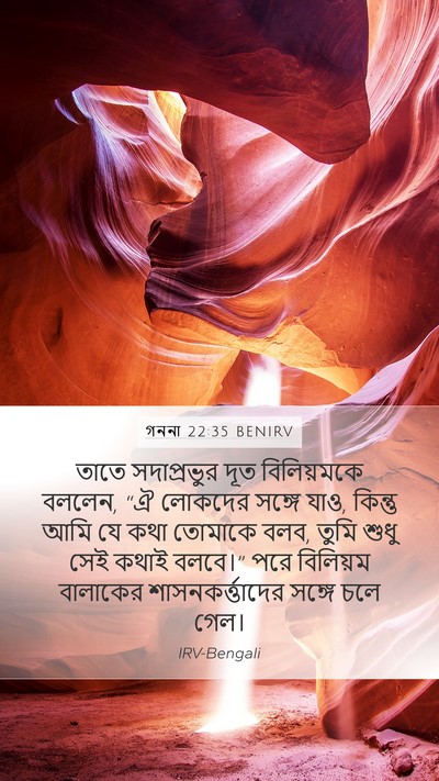 গননা 22:35 BENIRV Bible Verse Image