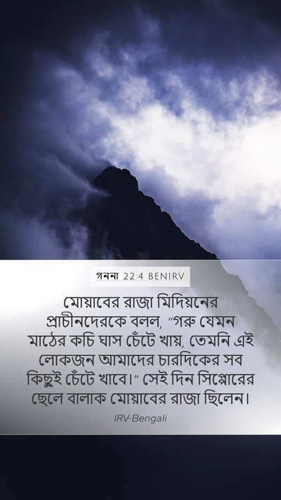 গননা 22:4 BENIRV Mobile Phone Wallpaper - মোয়াবের রাজা - Mobile Bible Verse Wallpaper