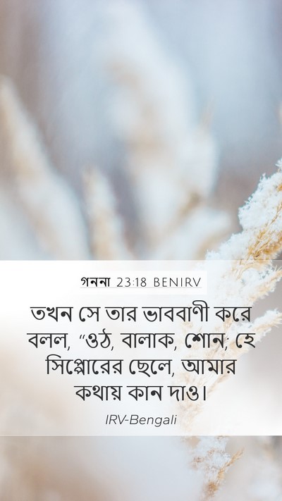 গননা 23:18 BENIRV Bible Verse Image