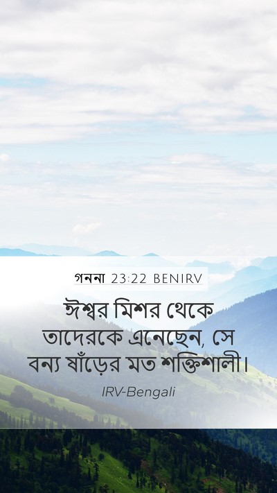 গননা 23:22 BENIRV Bible Verse Image