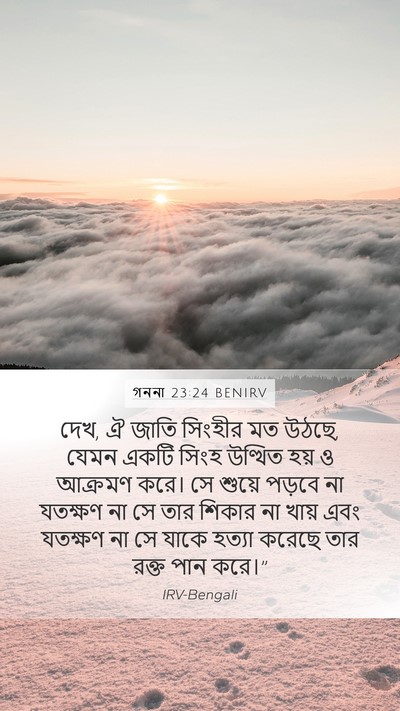 গননা 23:24 BENIRV Bible Verse Image