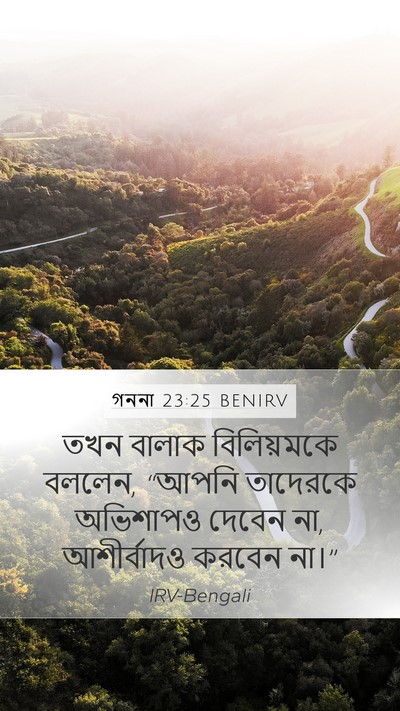 গননা 23:25 BENIRV Mobile Phone Wallpaper - তখন বালাক - Mobile Bible Verse Wallpaper