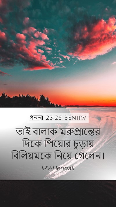 গননা 23:28 BENIRV Bible Verse Image