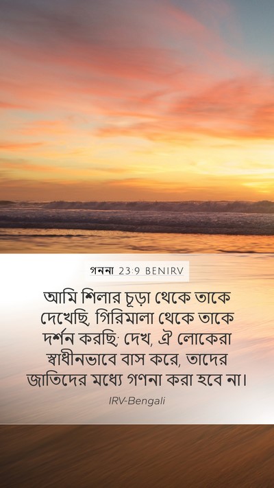 গননা 23:9 BENIRV Mobile Phone Wallpaper - আমি শিলার চূড়া - Mobile Bible Verse Wallpaper