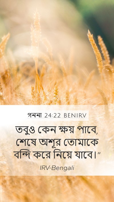 গননা 24:22 BENIRV Mobile Phone Wallpaper - তবুও কেন ক্ষয় - Mobile Bible Verse Wallpaper