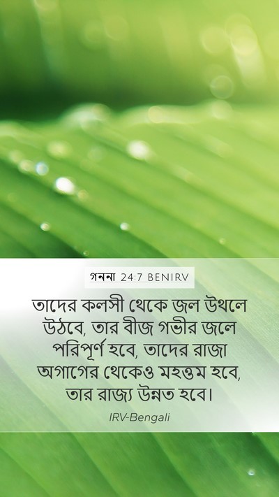 গননা 24:7 BENIRV Bible Verse Image