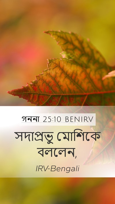 গননা 25:10 BENIRV Mobile Phone Wallpaper - সদাপ্রভু মোশিকে - Mobile Bible Verse Wallpaper